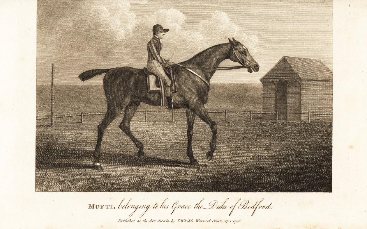 Jockey op de beroemde volbloed racer Mufti, behorend tot zijn genade de hertog van Bedford door English School