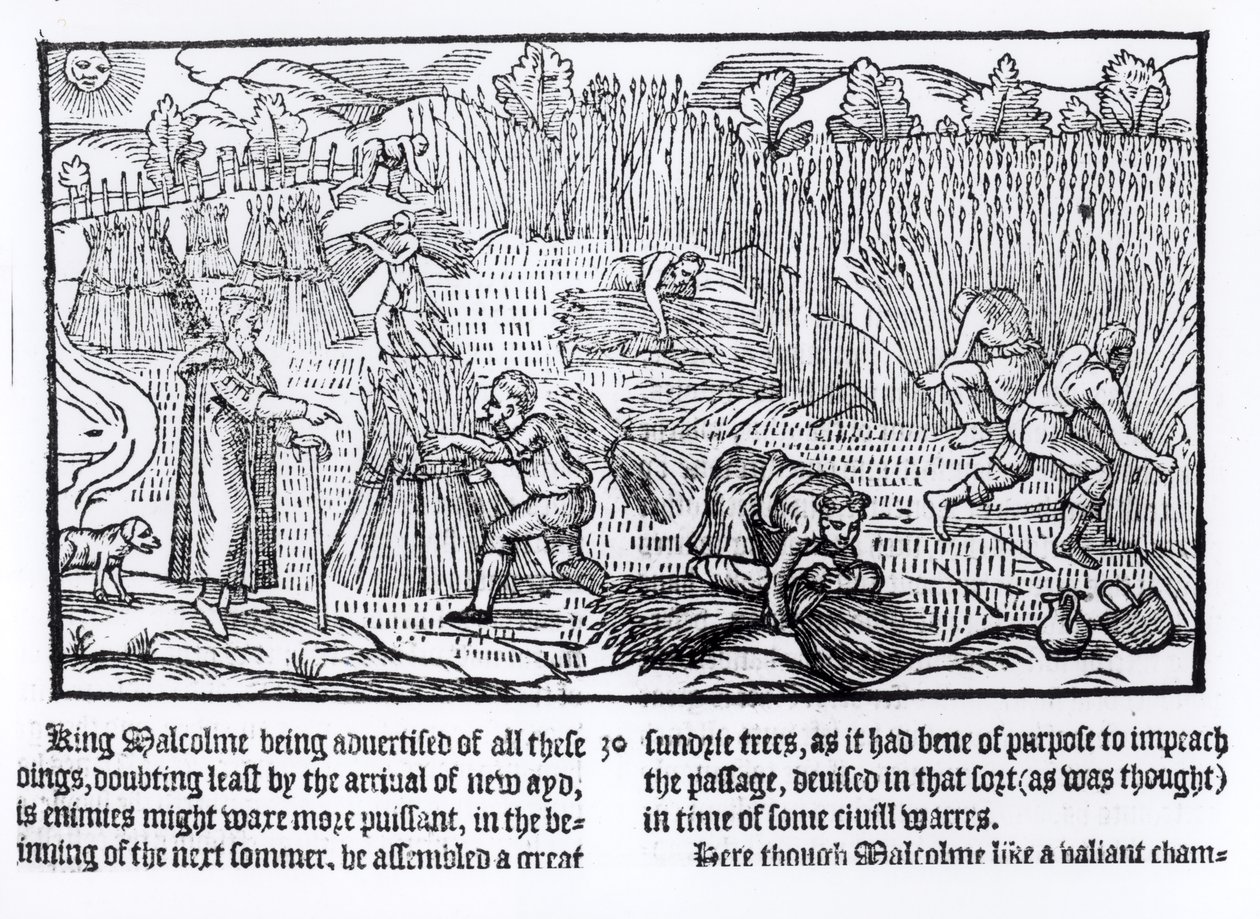 Koning Malcolm van Schotland observeert landbouwarbeid, 1586 door English School