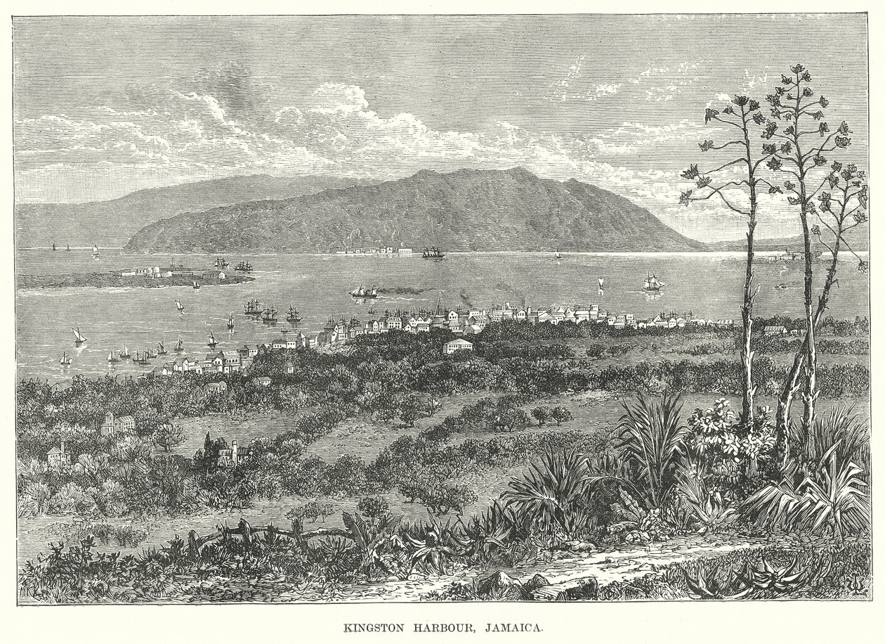 Haven van Kingston, Jamaica (gravure) door English School
