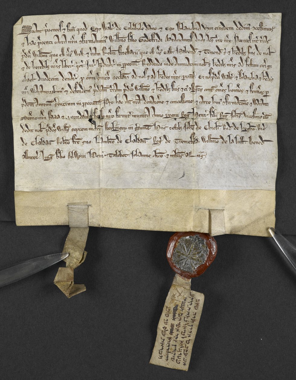 Latijnse akte met Hebreeuwse quitclaim (gehecht aan zegel), door Jacob ben Aaron die een stuk land vrijgeeft aan William le Briel. Engeland door English School