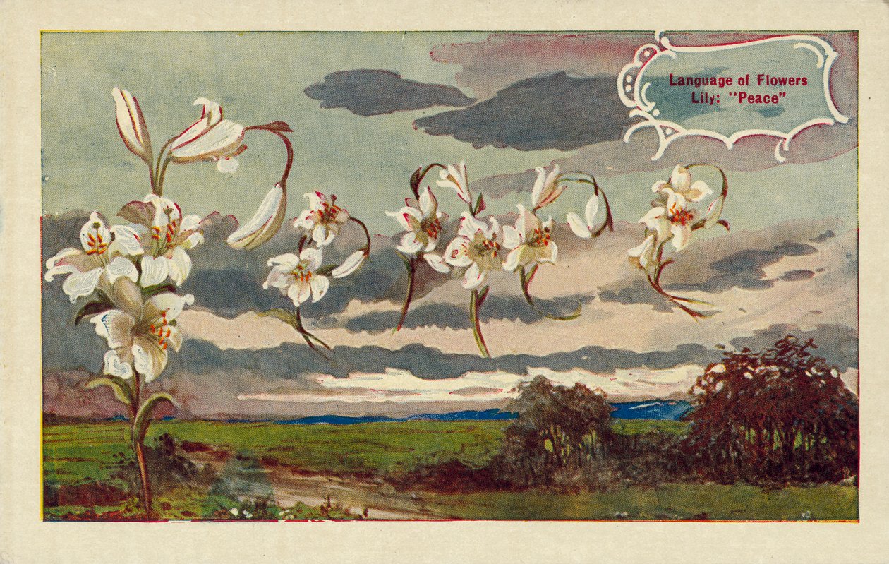 Lelie betekent vrede in de taal van bloemen (kleurenlitho) door English School