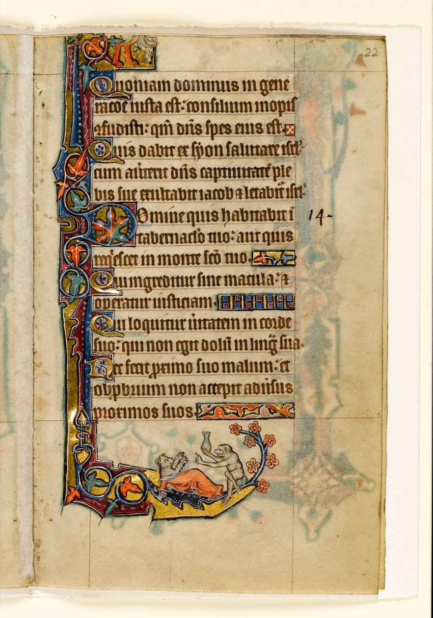 MS 1-2005, fol. 22r: De aap-dokter en zijn beer-patiënt, marginaal decor uit de Macclesfield Psalter, Gebruik van Sarum, Oost-Anglia, c.1330 door English School