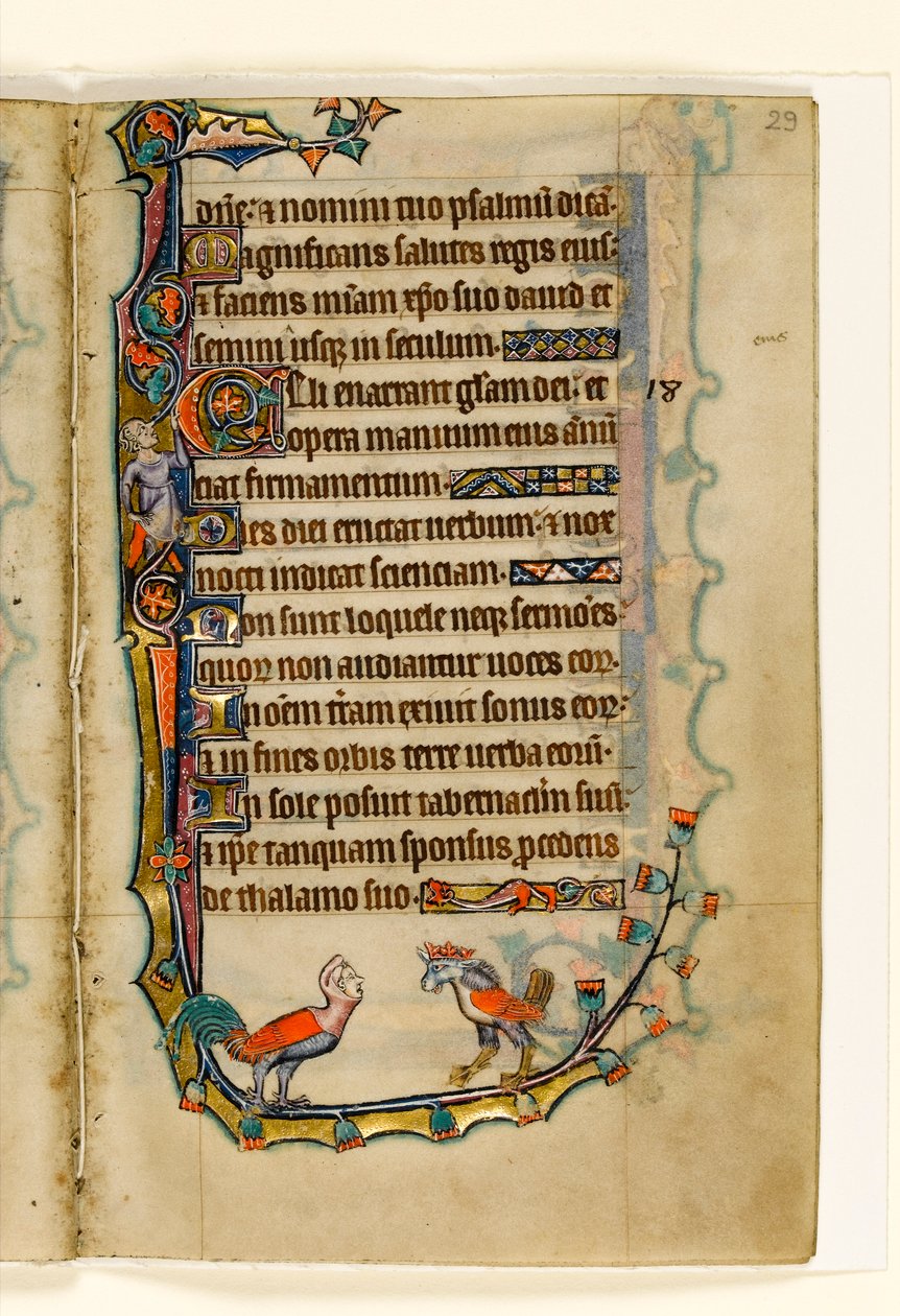 MS 1-2005, fol. 29r: Twee vogelachtige grotesken, marginaal decor uit de Macclesfield Psalter, Gebruik van Sarum, Oost-Anglia, c.1330 door English School