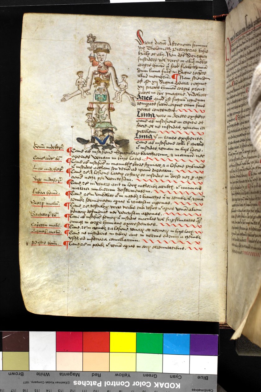 MS Hunter 251 f.47v, illustratie van een 