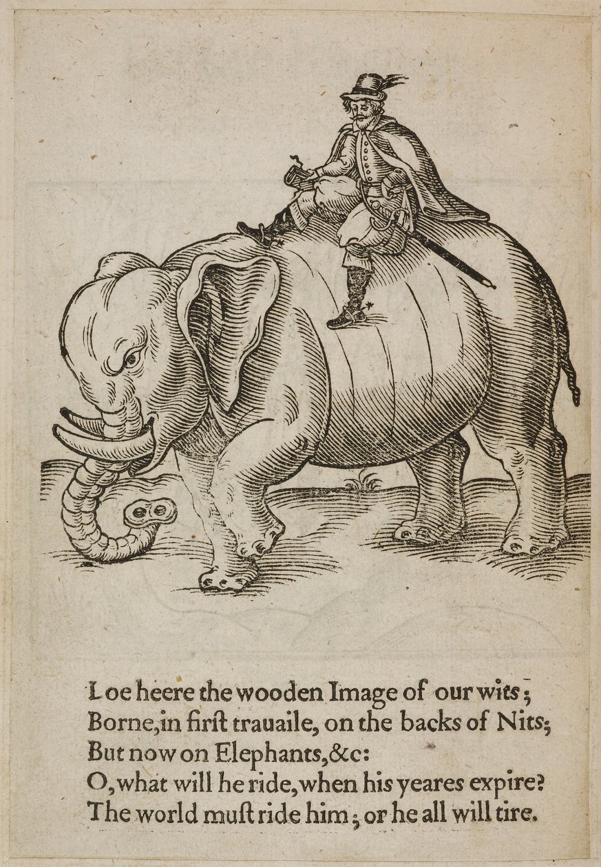 Man die op een olifant rijdt, illustratie uit 