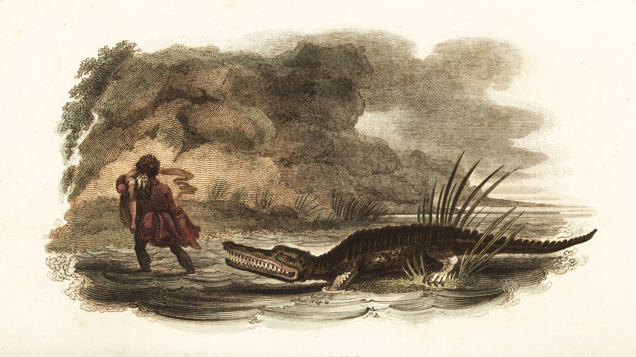 Man redt zijn vrouw uit de kaken van een krokodil in een rivier, Filipijnen door English School