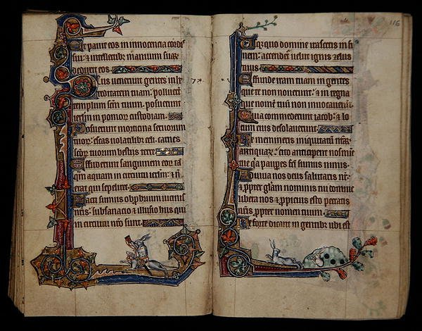 Ms 1-2005, ff.115v-116r: jacht op een konijn rijdend op een hond, marginaal decor uit de Macclesfield Psalter, Gebruik van Sarum, Oost-Anglia, c.1330 door English School