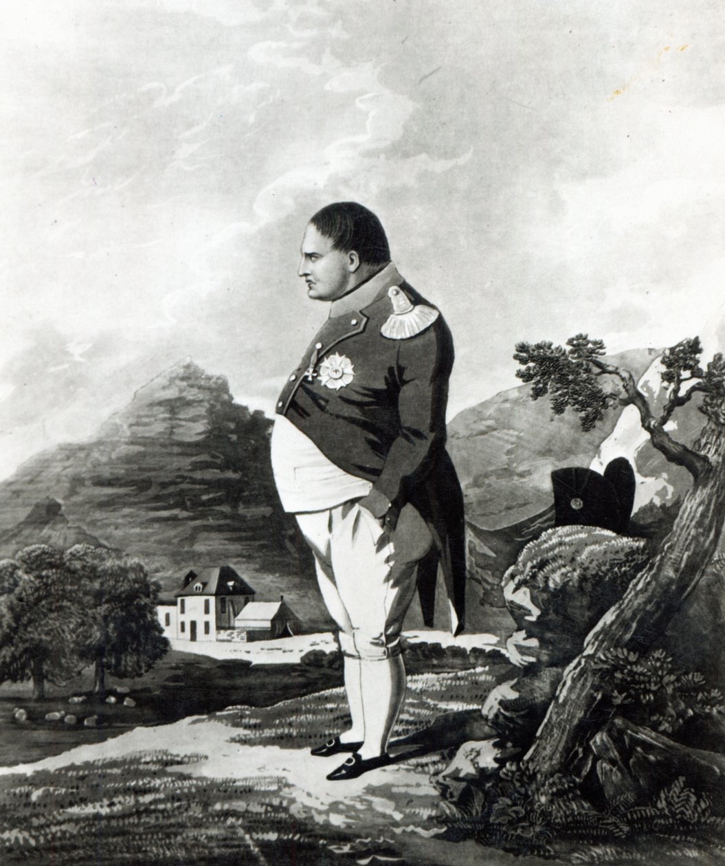 Napoleon op het eiland Sint-Helena, 1820 door English School