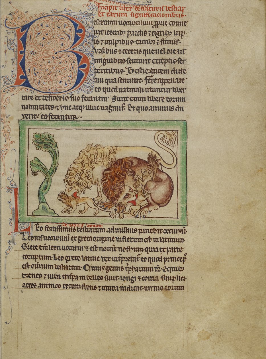 Northumberland Bestiarium, c.1250-60 door English School