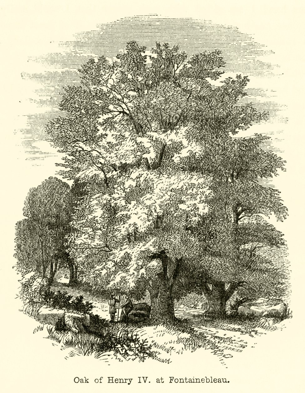 Eik van Hendrik IV, in Fontainebleau (gravure) door English School