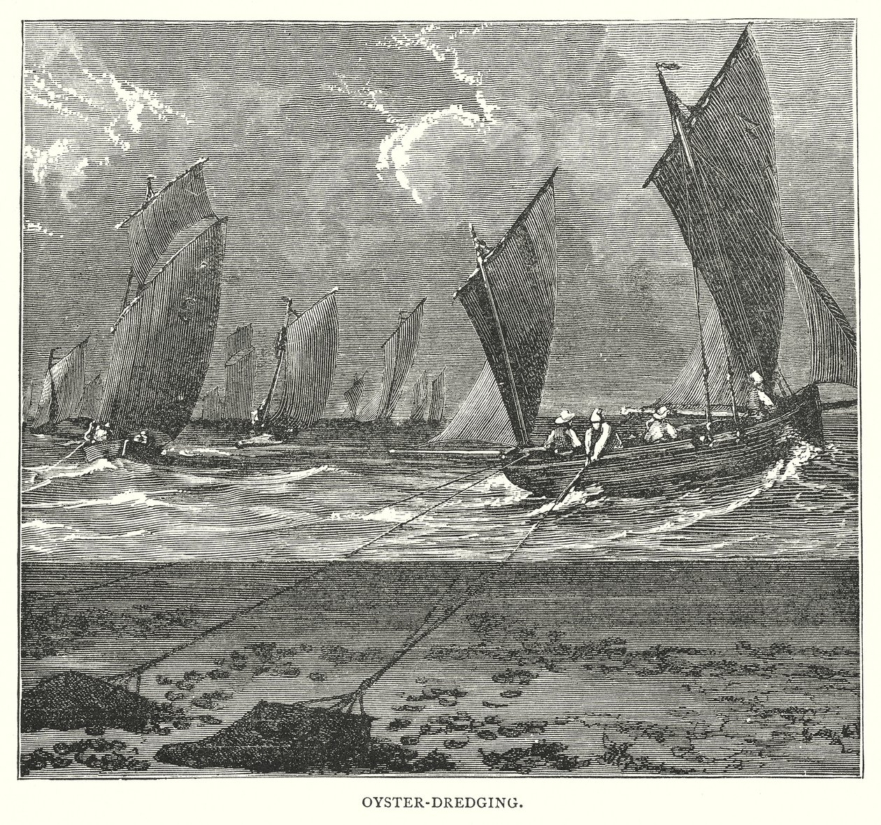Oyster-Dredging (engraving) door English School