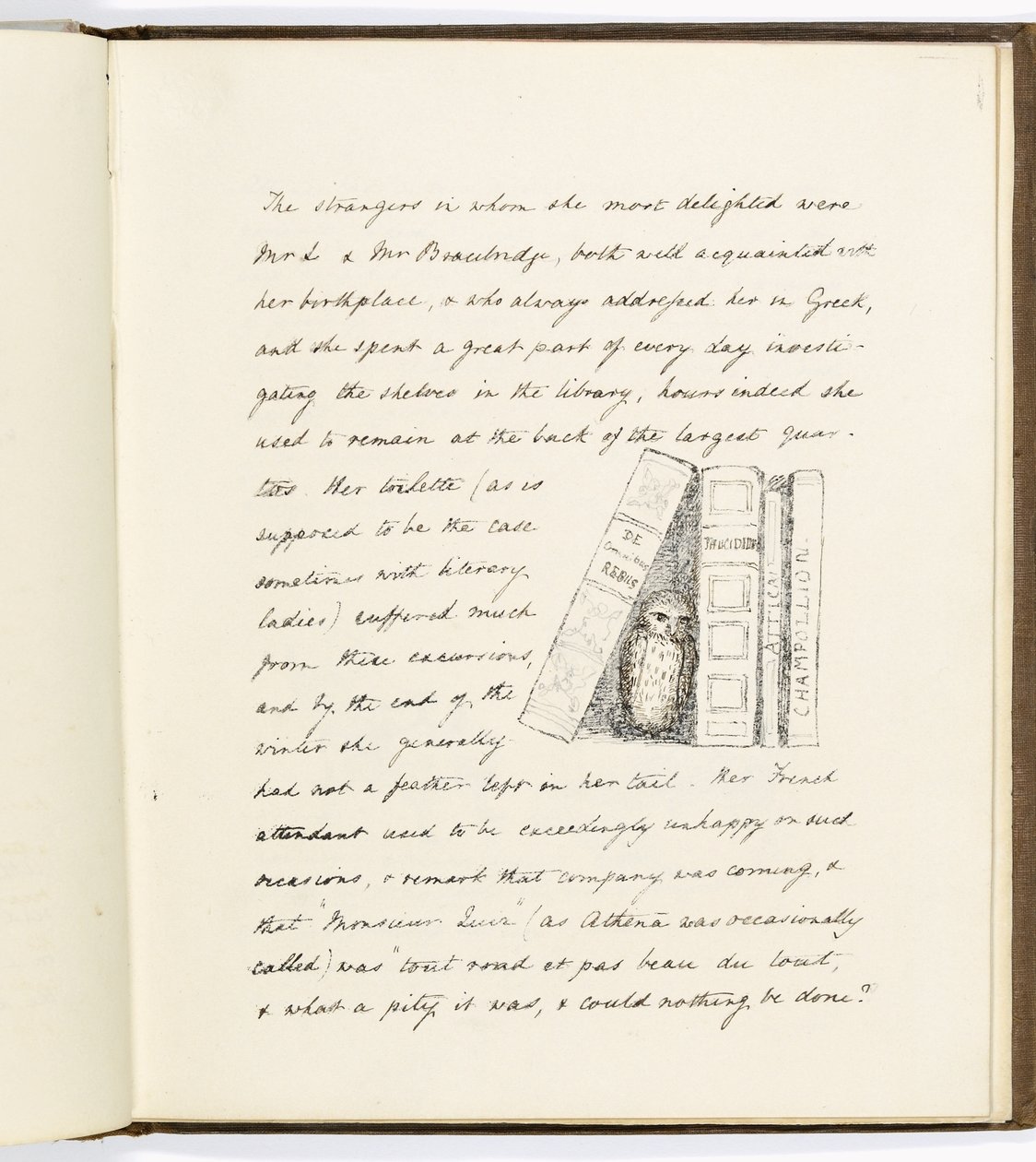 Pagina uit Het Leven en de Dood van Athena, een Uiltje van het Parthenon door English School