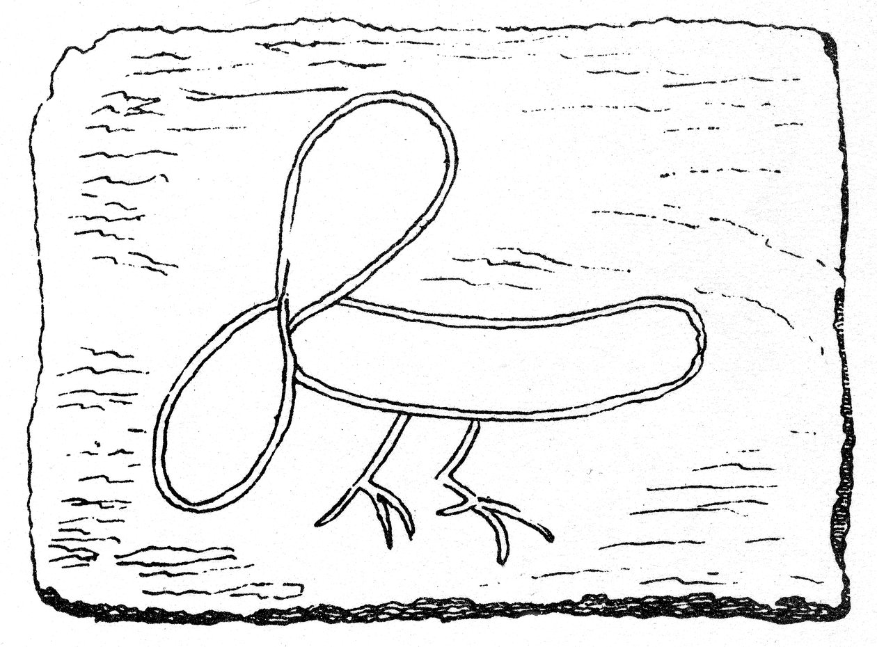 Phallus met de poten van een vogel, houtsnede van de ingang van het wachthuis bij Housesteads Fort aan de Muur van Hadrianus door English School