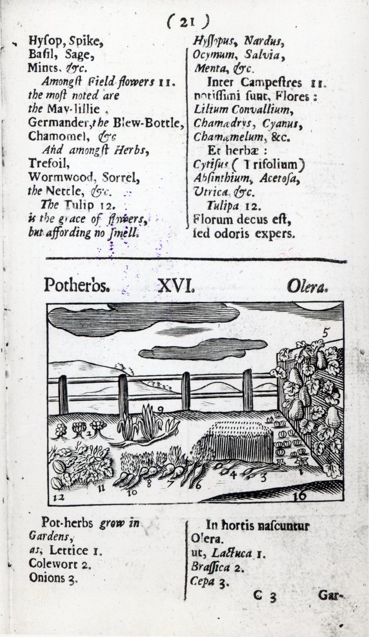 Plantenverzorging uit 