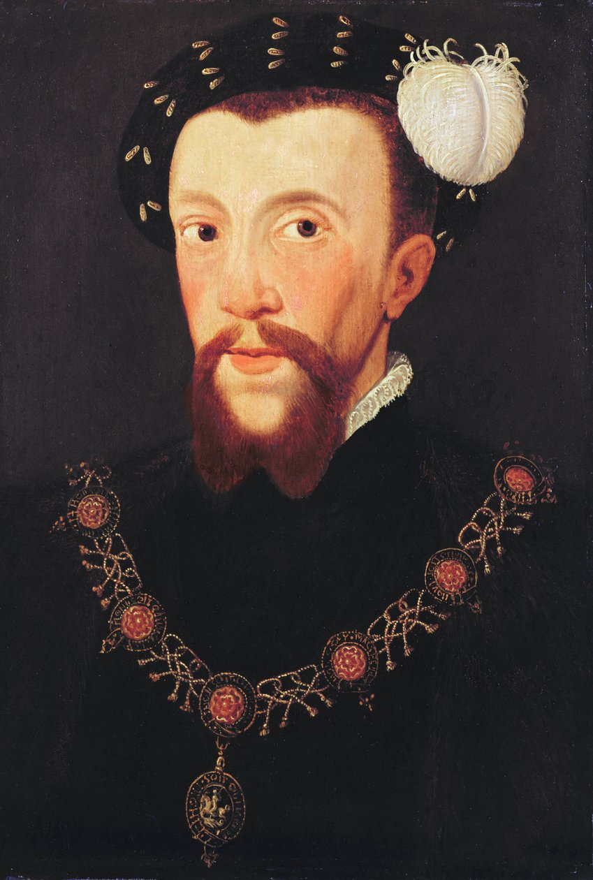 Portret van Henry Howard, 1546 door English School