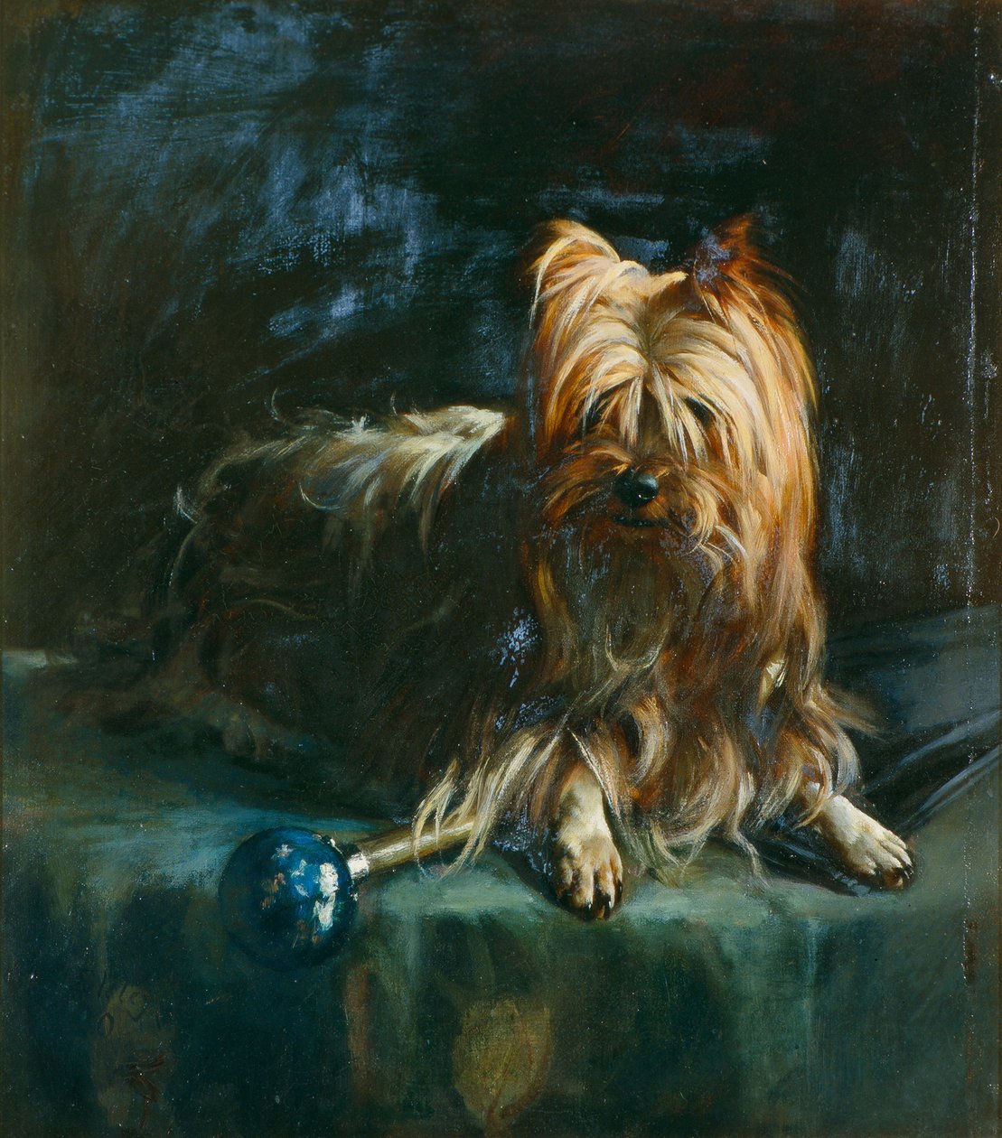 Portret van Jim; een Yorkshire Terrier door English School