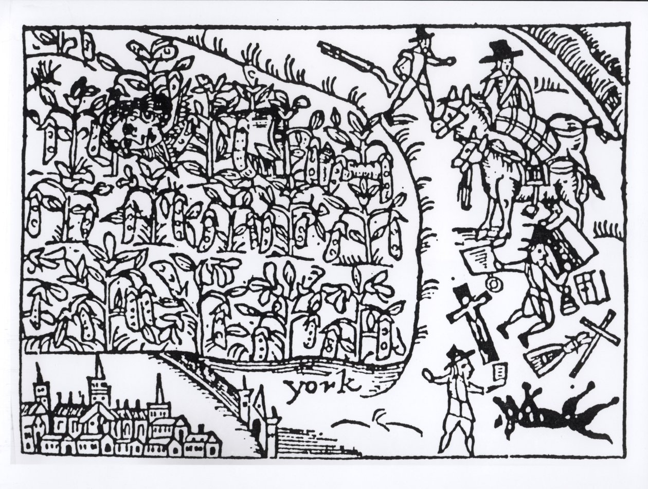 Prins Rupert (1619-82) verstopt zich in een bonenveld tijdens de slag bij Marston Moor op 2 juli 1644 door English School