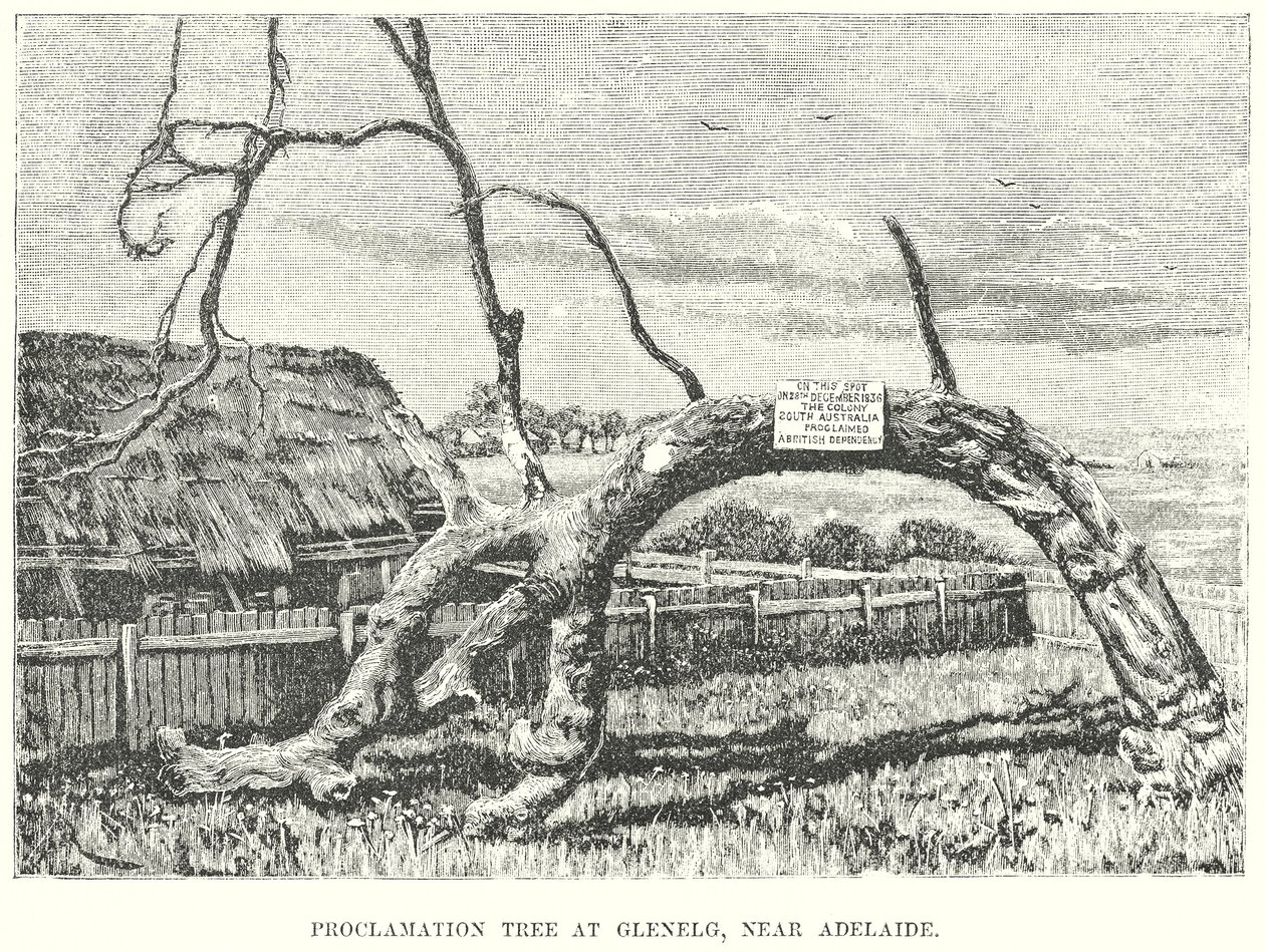 Proclamatieboom in Glenelg, bij Adelaide (gravure) door English School