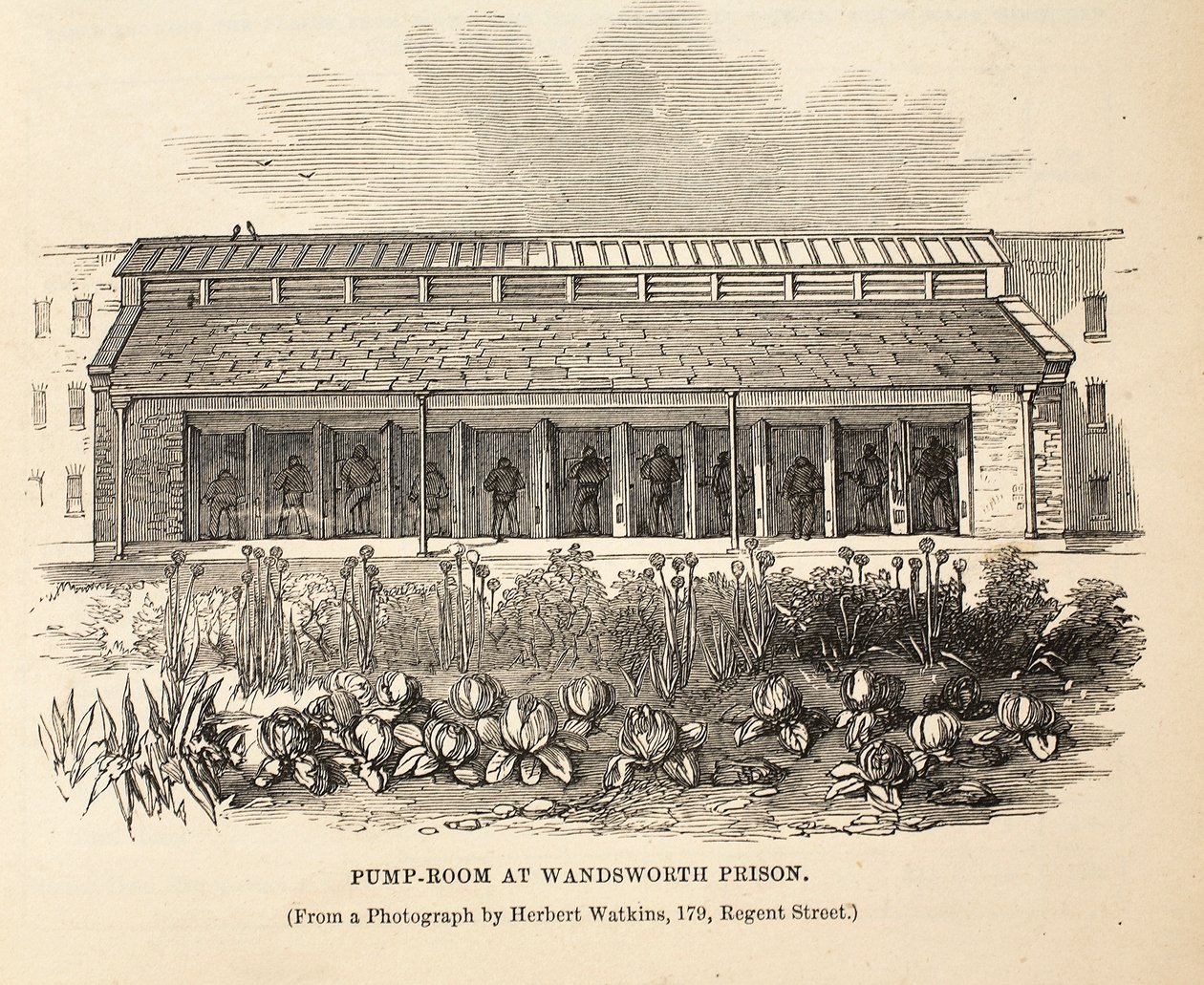 Pompkamer in Wandsworth Prison, illustratie uit The Criminal Prisons of London and Scenes from Prison Life door Henry Mayhew en John Binny, uitgegeven in 1862 door English School