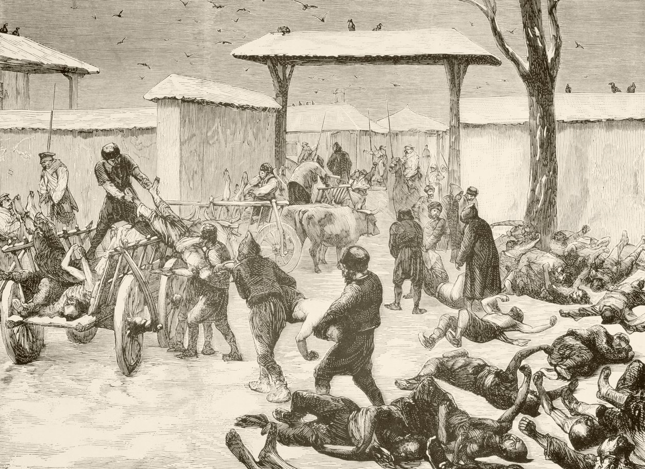 Het bergen van de doden na het beleg van Plevna, Bulgarije in 1877 door English School