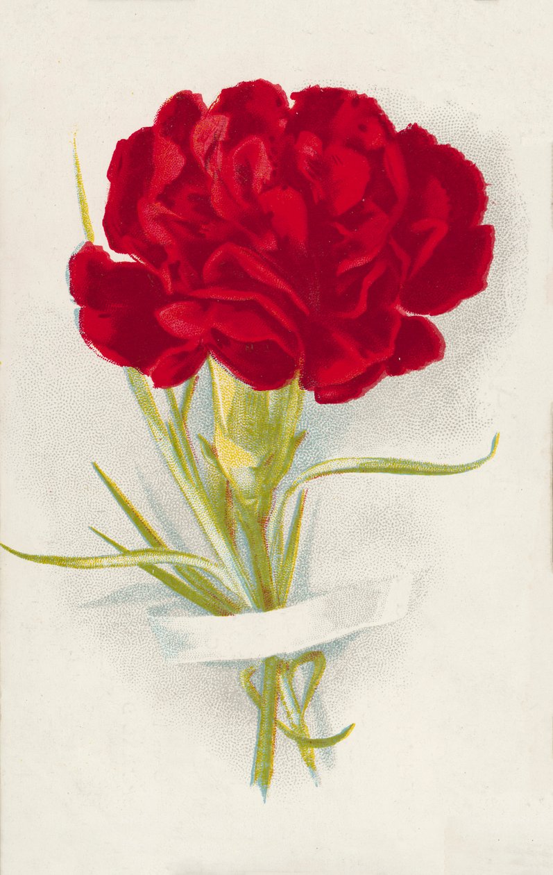 Rode anjer (chromolitho) door English School
