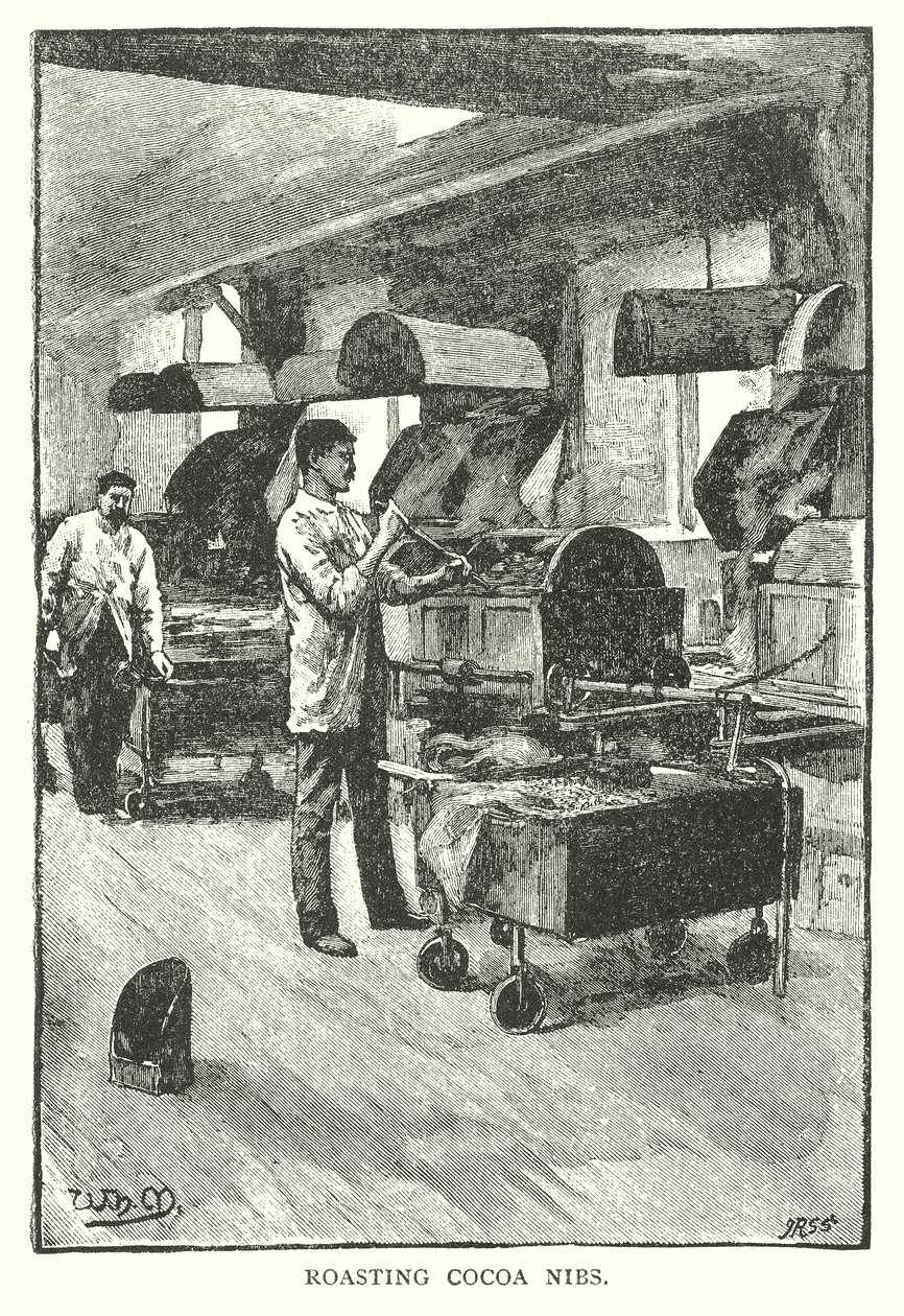 Cacaonibs roosteren (gravure) door English School