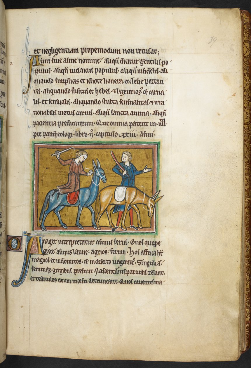 Royal 12 F.XIII, f.39 Twee mannen met twee mannen met ezels, uit Bestiarium (ff. 3-141), Lapidarium (ff. 141v-149), 2e kwart van de 13e eeuw (perkament) door English School
