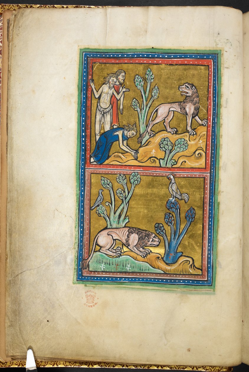 Royal 12 F.XIII, f.5v Boven: drie mannen, met een van hen buigend voor een leeuw; onder: een leeuw gehurkt aan de voet van een boom, met een haan zittend bovenop, uit Bestiarium (ff. 3-141), Lapidarium (ff. 141v-149), 2e kwart van de 13e eeuw door English School