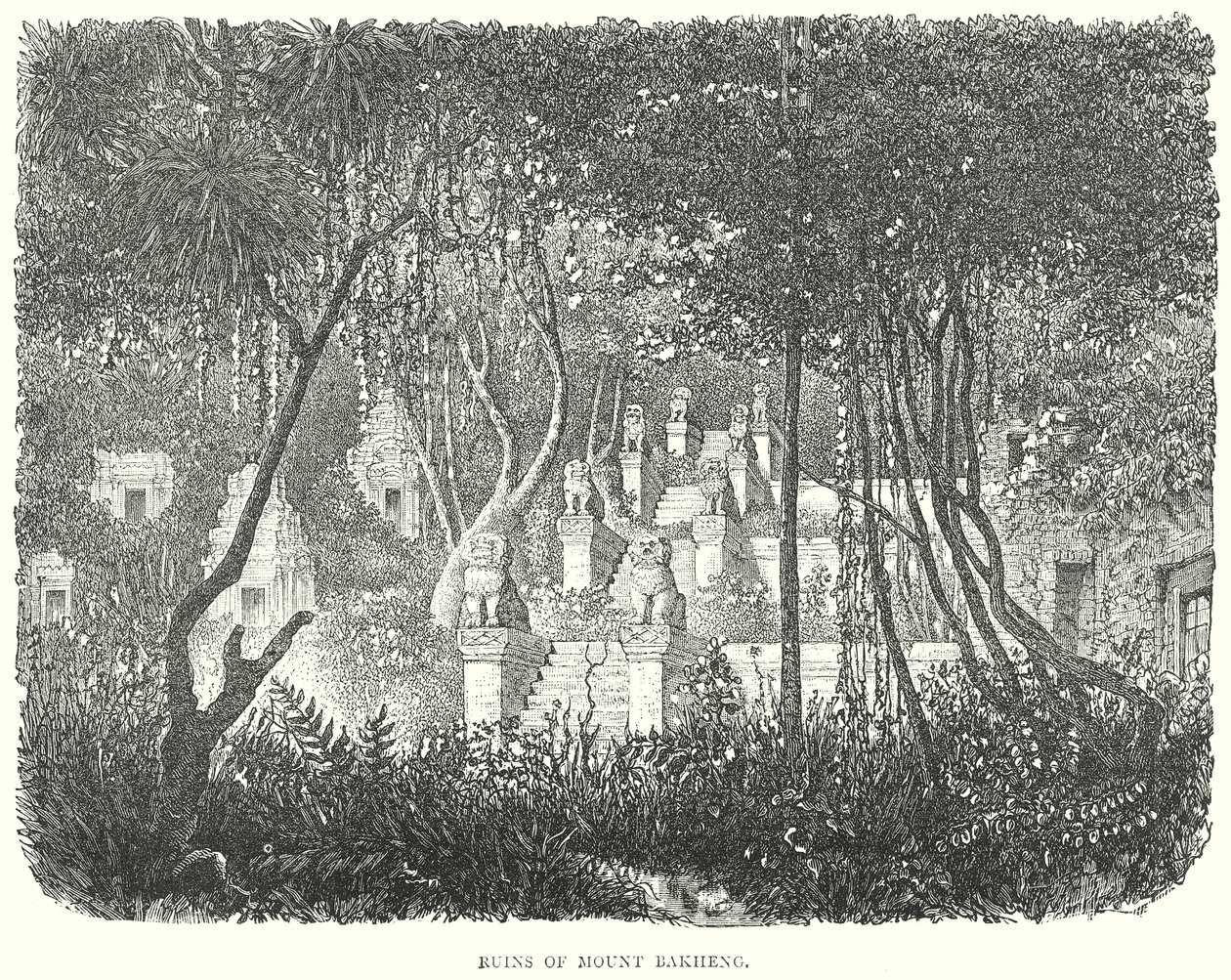 Ruïnes van de berg Bakheng (gravure) door English School