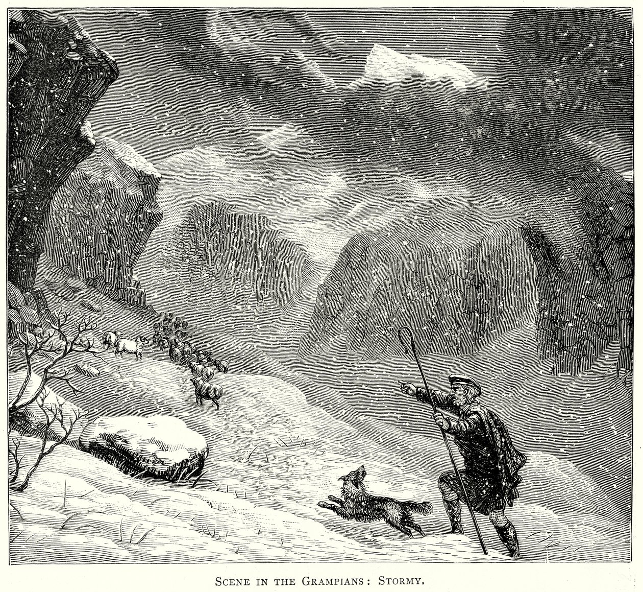 Scène in de Grampians: Stormachtig (gravure) door English School