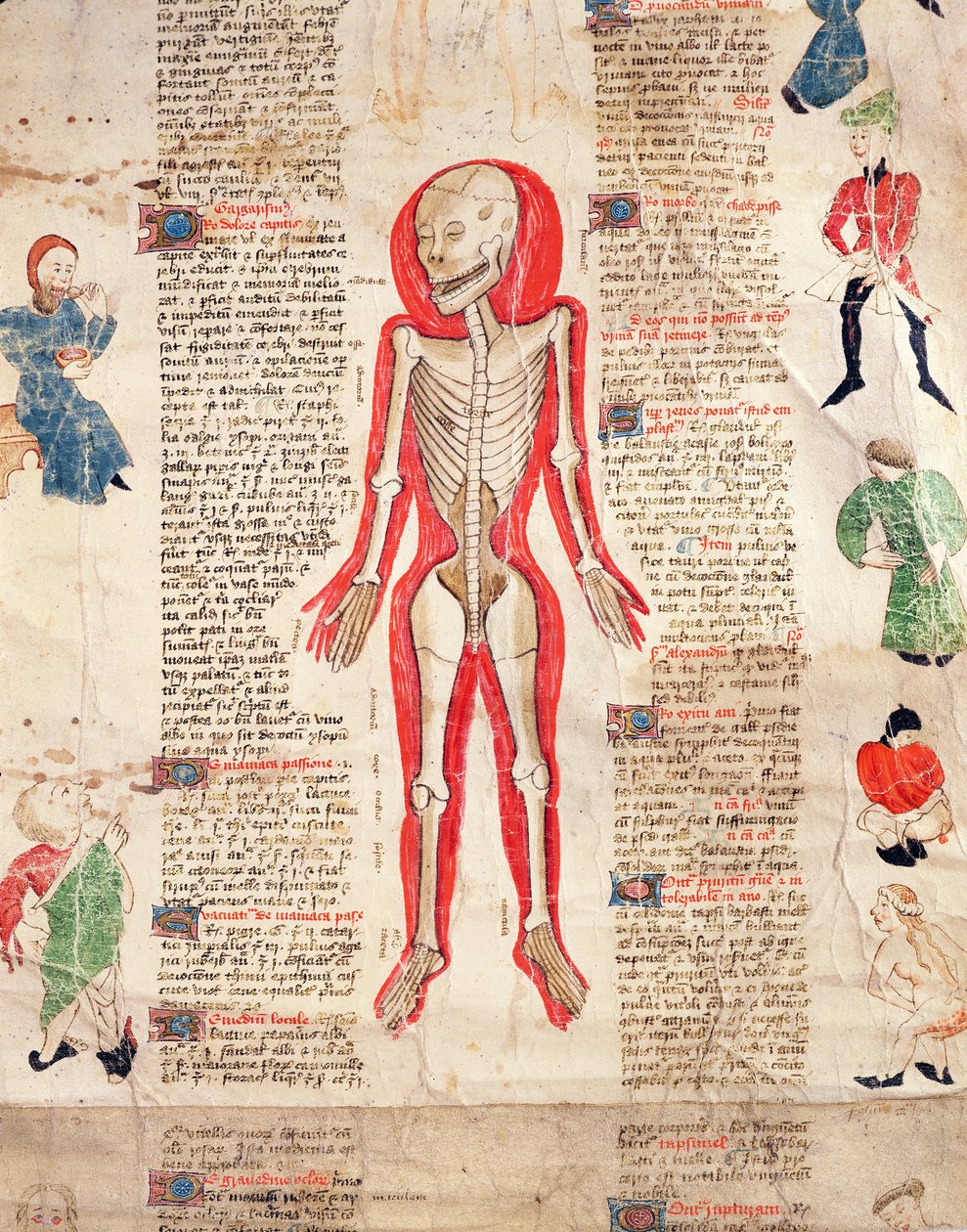 Skelet, uit De arte phisicali e de cirugia door John Ardene, 1412 door English School