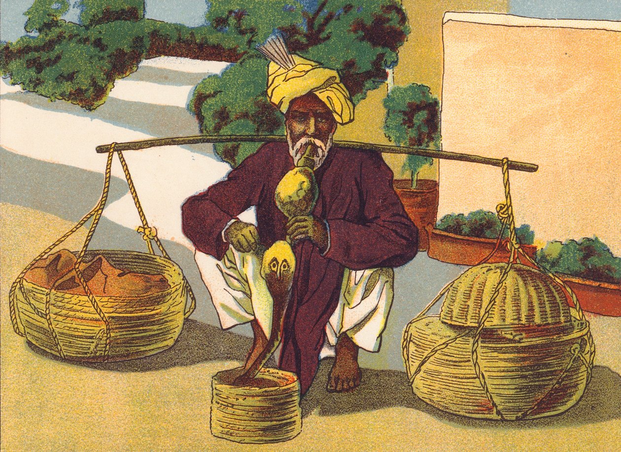 Slangenbezweerder, India (kleurenlitho) door English School