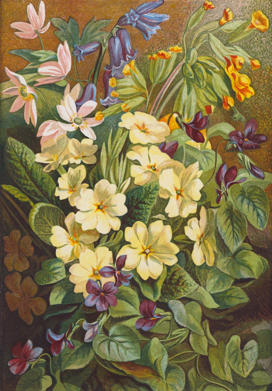 Lentebloemen (kleurenlitho) door English School