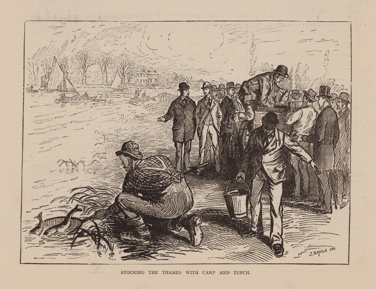 De Theems vullen met karper en zeelt (gravure) door English School
