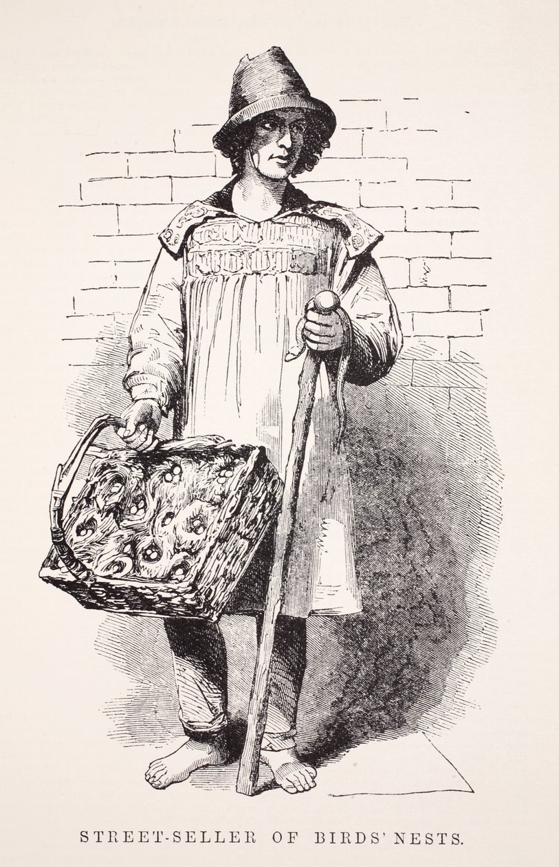 Straatverkoper van vogelnesten, illustratie uit London Labour and London Poor door Henry Mayhew, pub. 1862 door English School