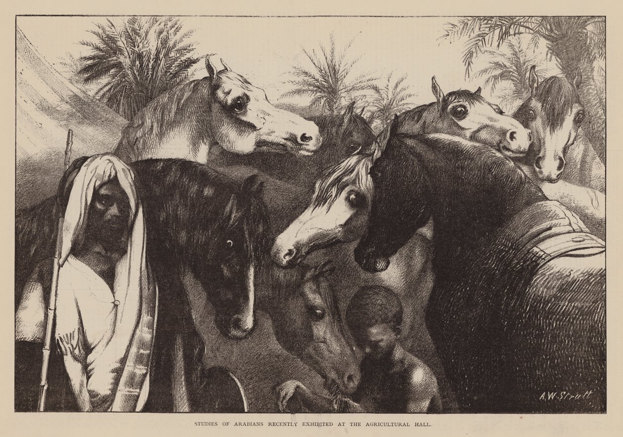 Studies van Arabieren onlangs tentoongesteld in de Landbouwhal (gravure) door English School