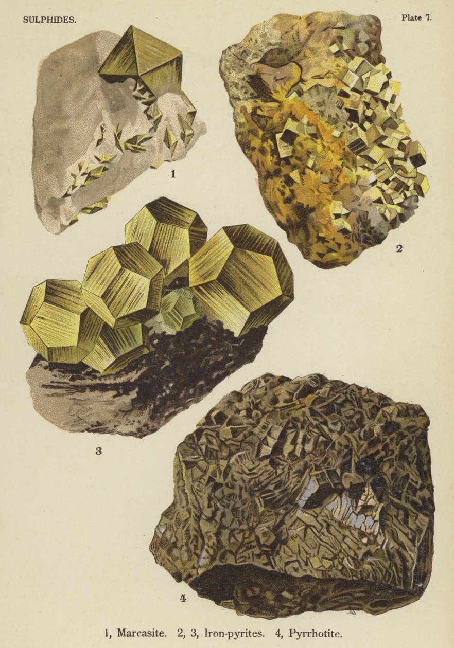 Sulfiden, marcasiet, ijzer-pyrieten, pyrrhotiet (kleurenlitho) door English School