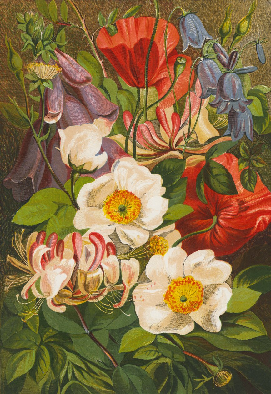 Zomerbloemen (kleurenlitho) door English School