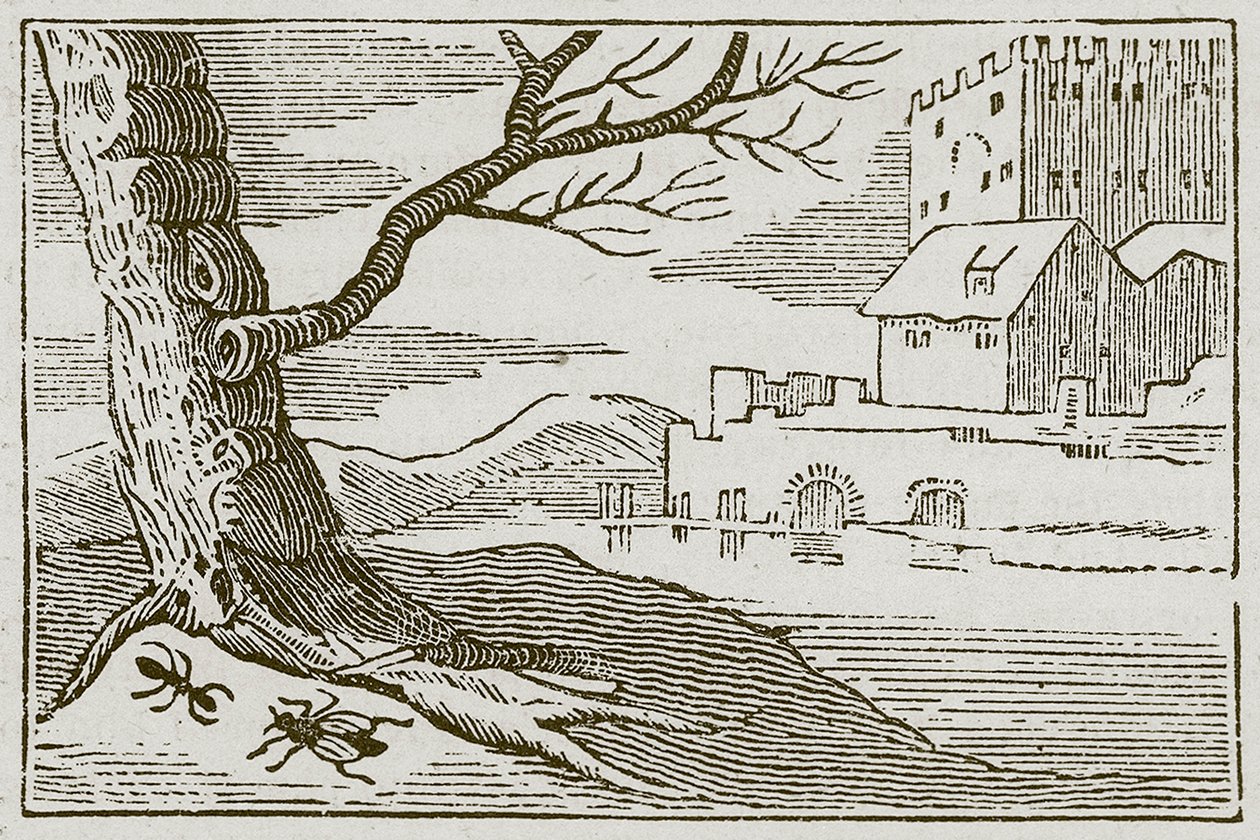 De mier en de vlieg (gravure) door English School