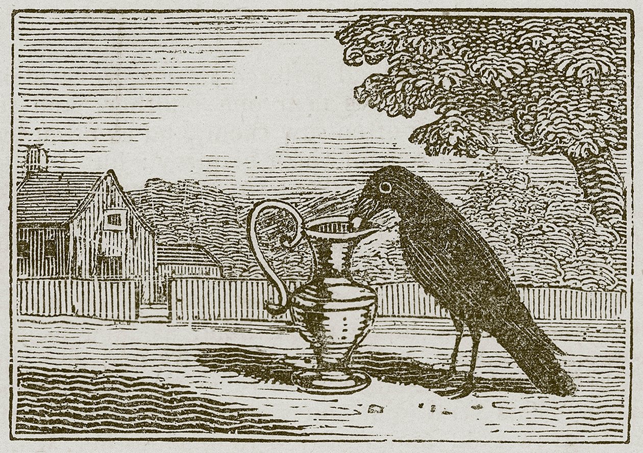De kraai en de waterkruik (gravure) door English School