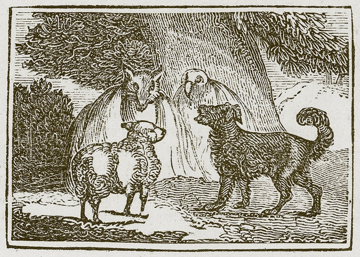 De hond en het schaap (gravure) door English School