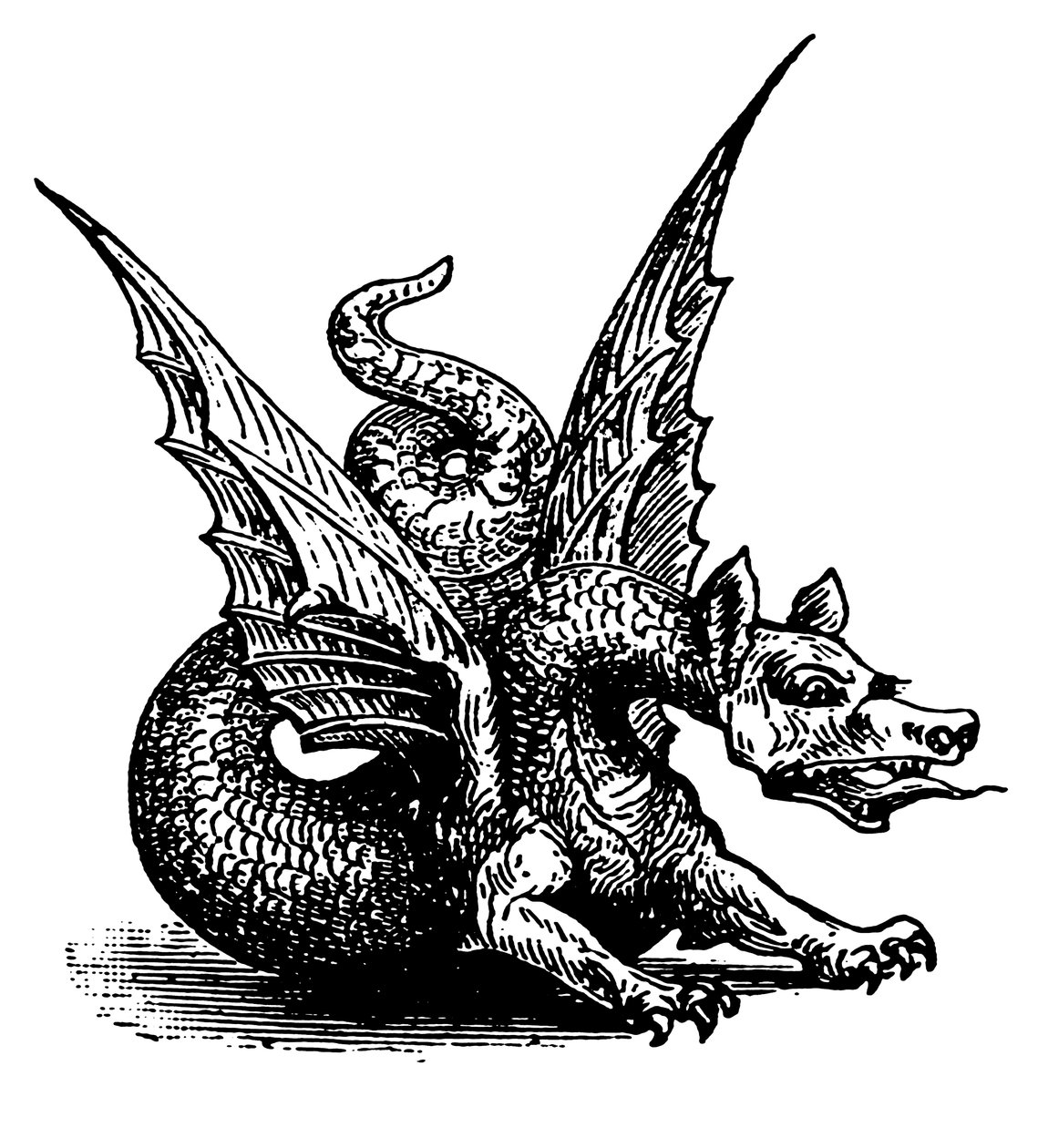 De draak van de fabel (gravure) door English School
