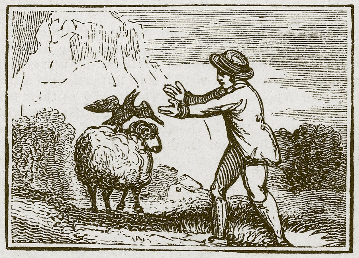 De adelaar en de kraai (gravure) door English School