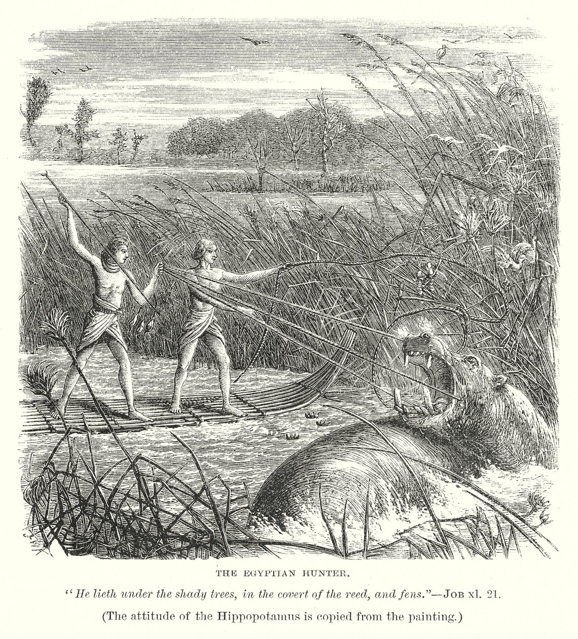 De Egyptische Jager (gravure) door English School