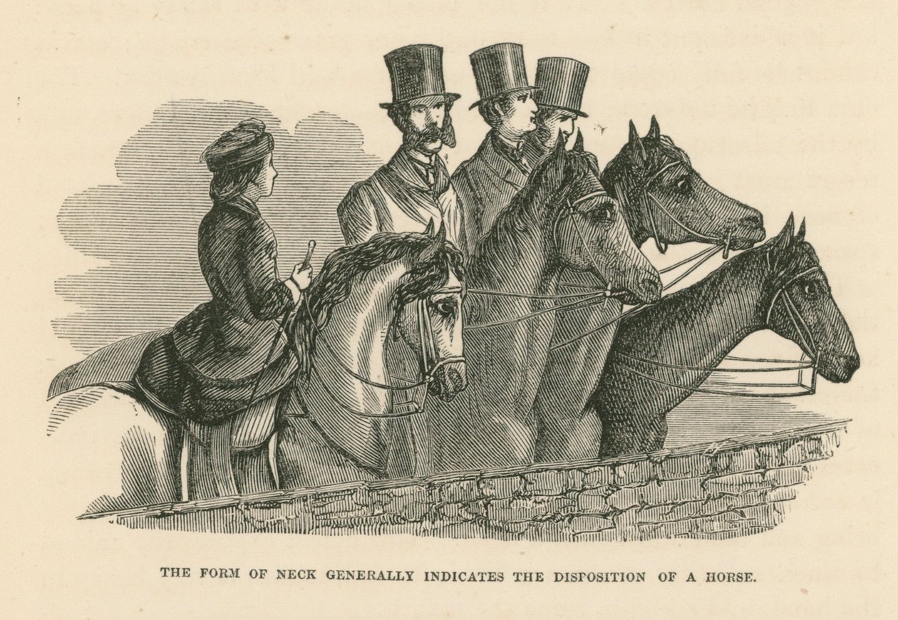 De vorm van de hals geeft over het algemeen de dispositie van een paard aan (gravure) door English School