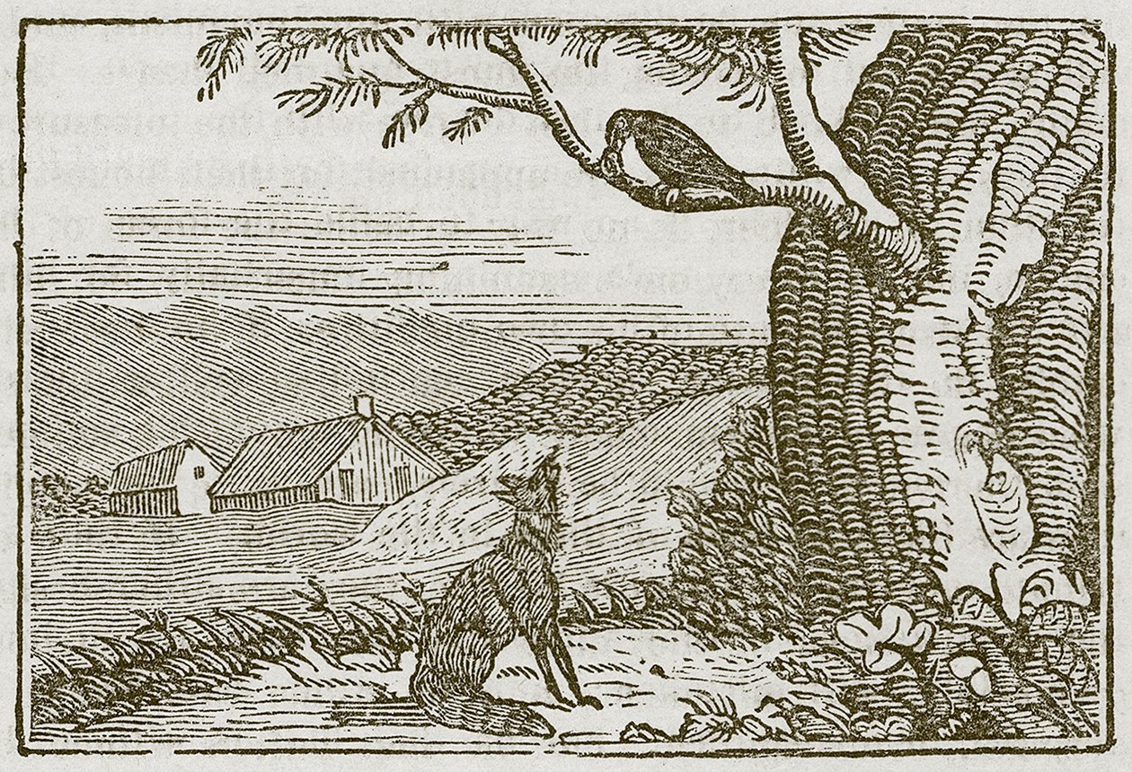 De vos en de kraai (gravure) door English School