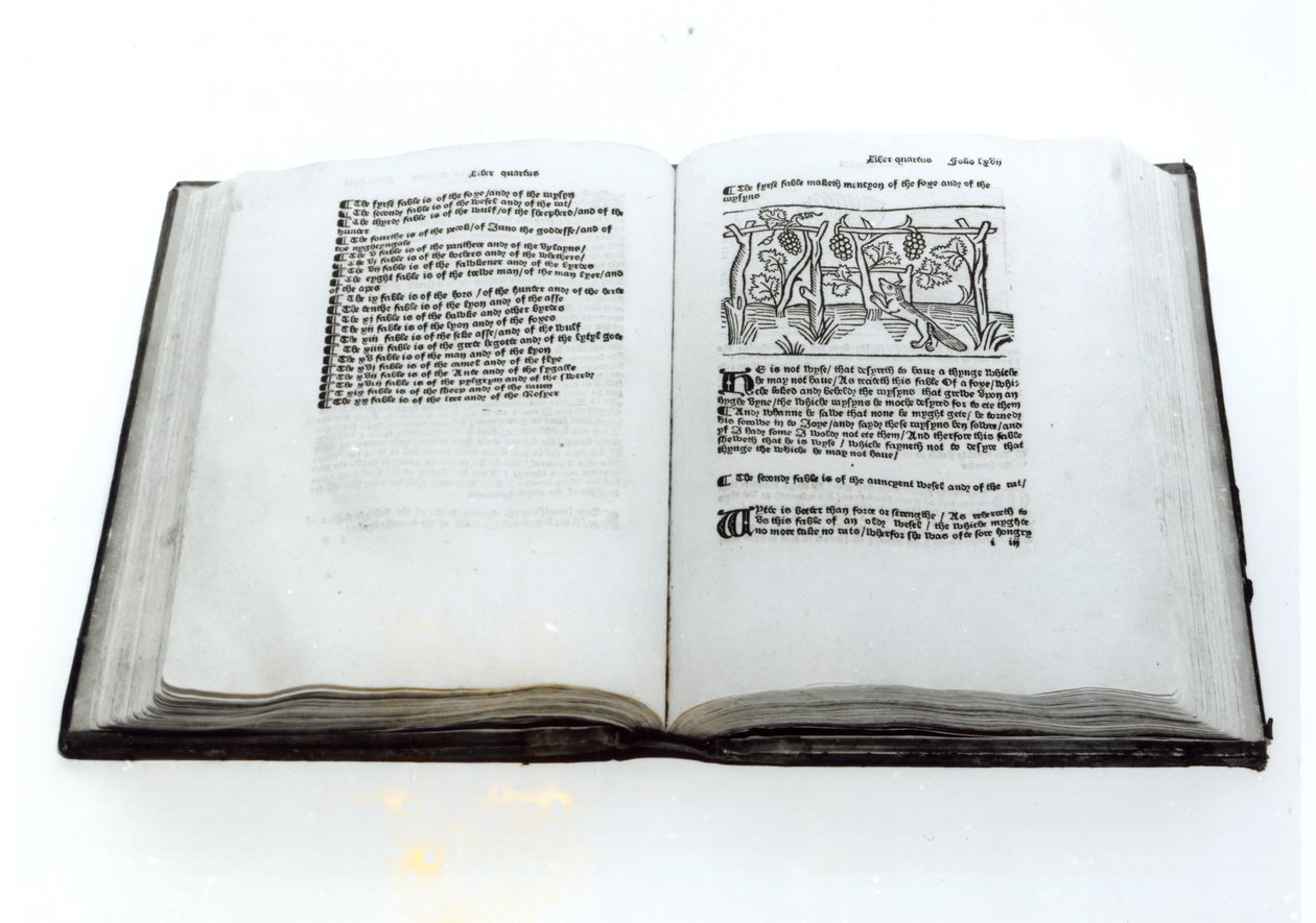 De Vos en de Druiven, uit een geïllustreerde vertaling van Aesopus