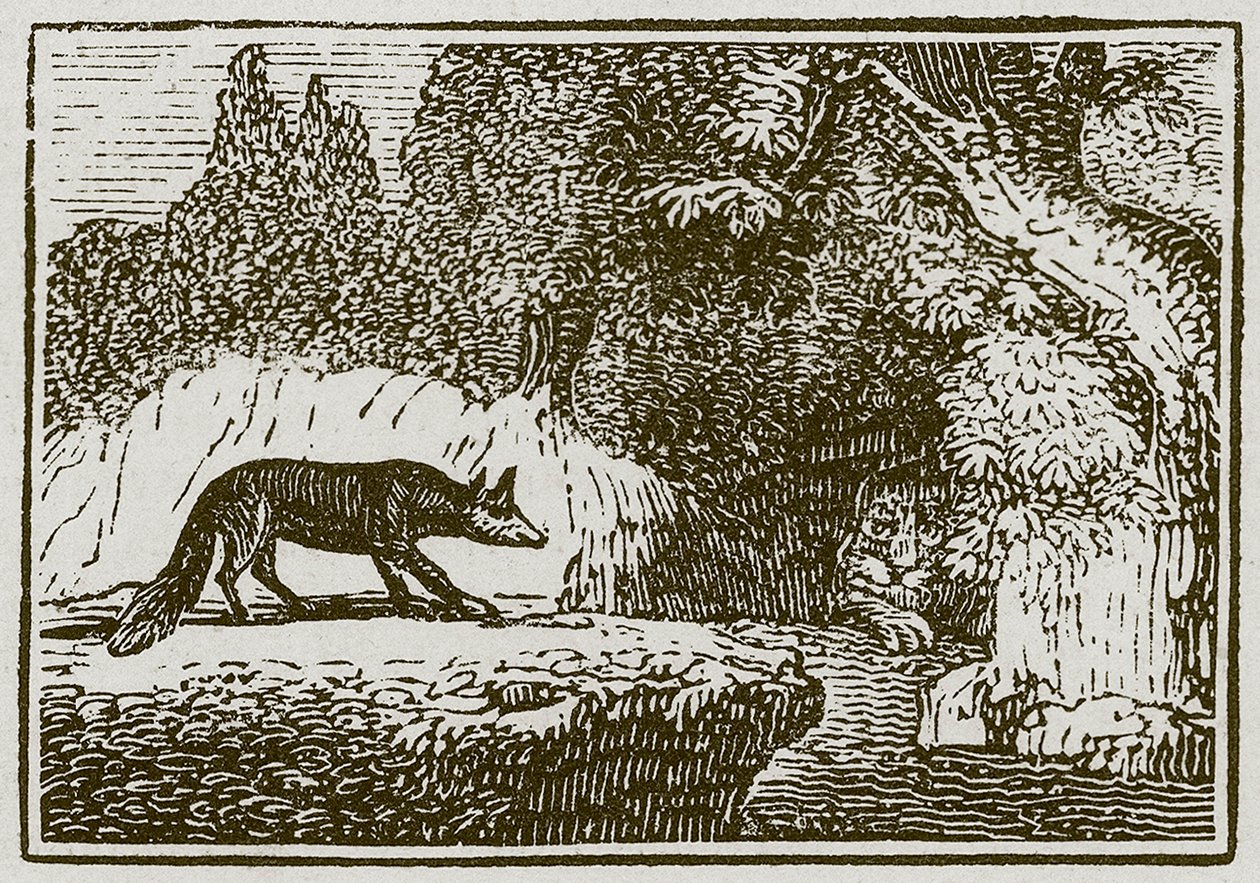 De vos en de zieke leeuw (gravure) door English School