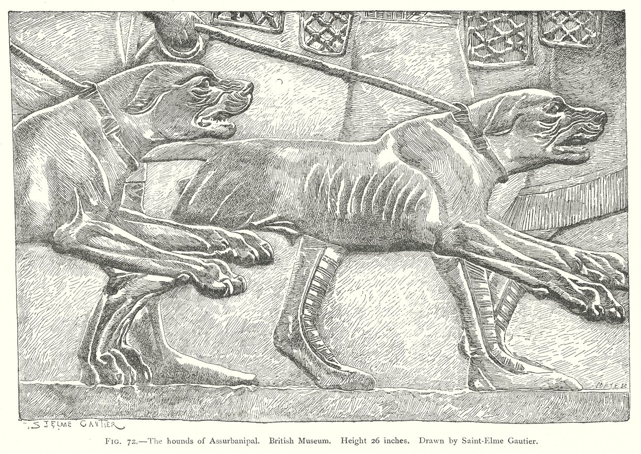 De honden van Assurbanipal. Brits Museum (gravure) door English School