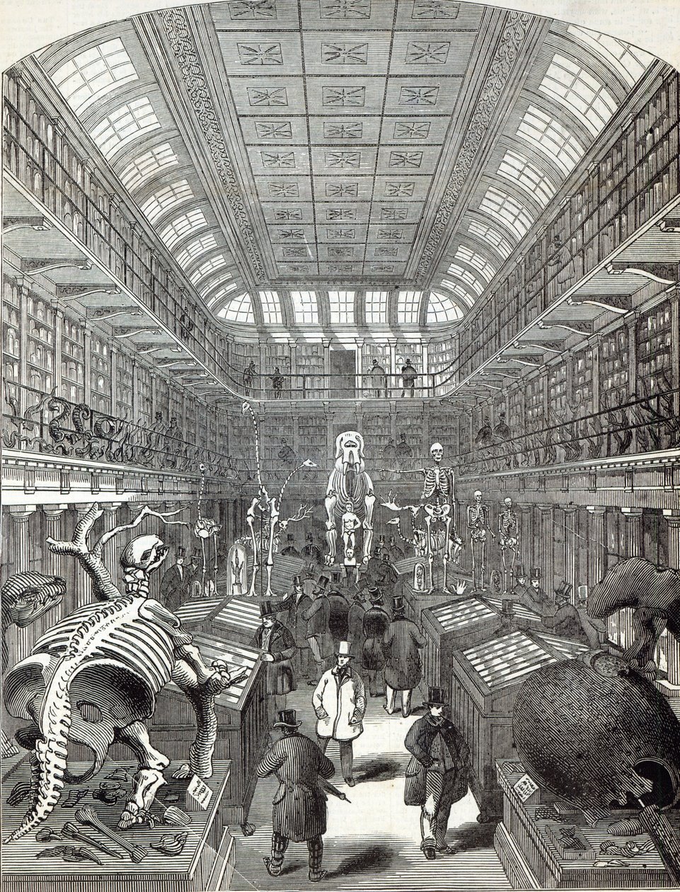 Het Hunterian Museum, bij het Royal College of Surgeons, uit 